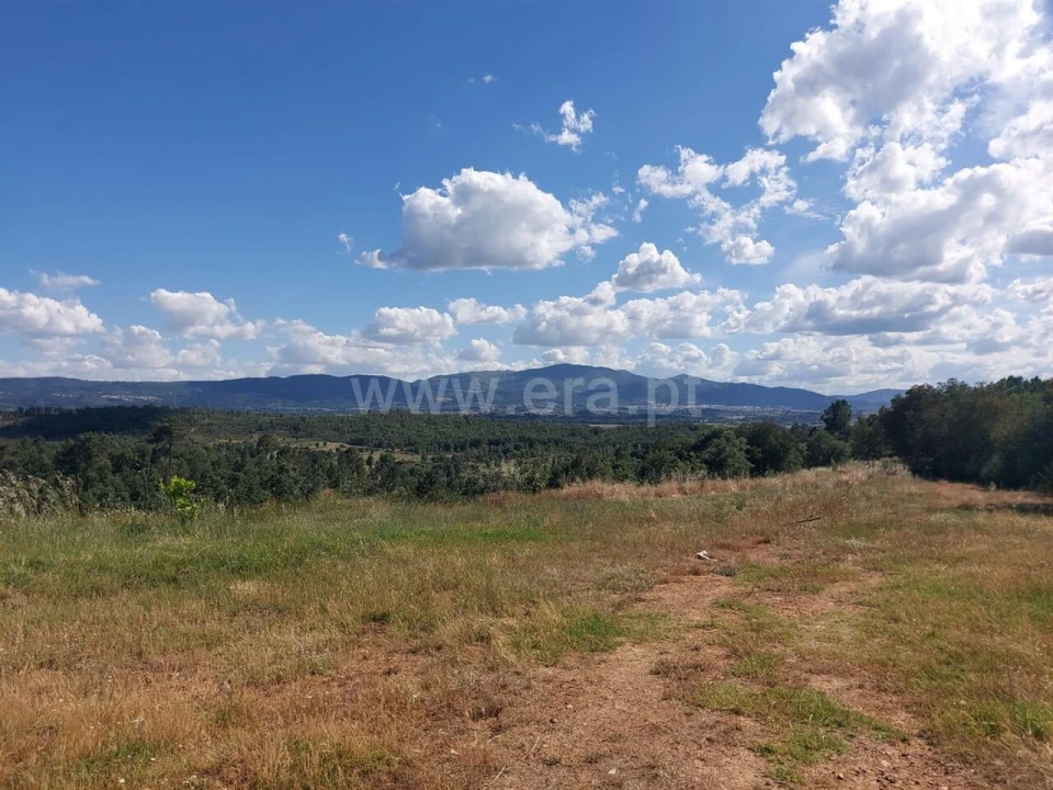Quinta T0 para Venda em Pero Viseu Foto 6