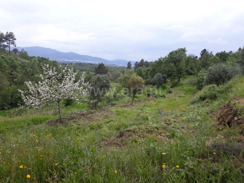 Quinta T0 para Venda em Pero Viseu Foto 9