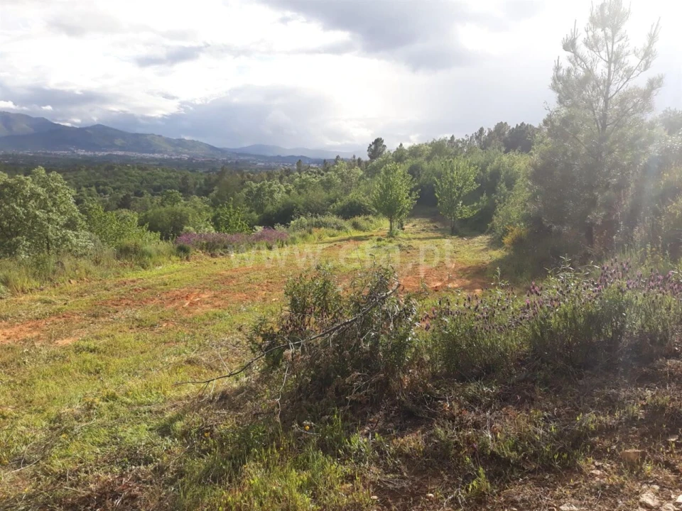 Quinta T0 para Venda em Pero Viseu Foto 8