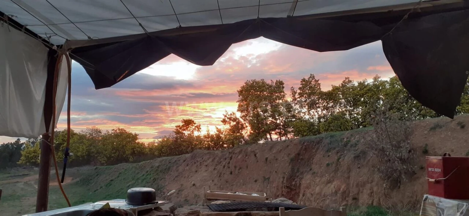 Quinta T0 para Venda em Pero Viseu Foto 17