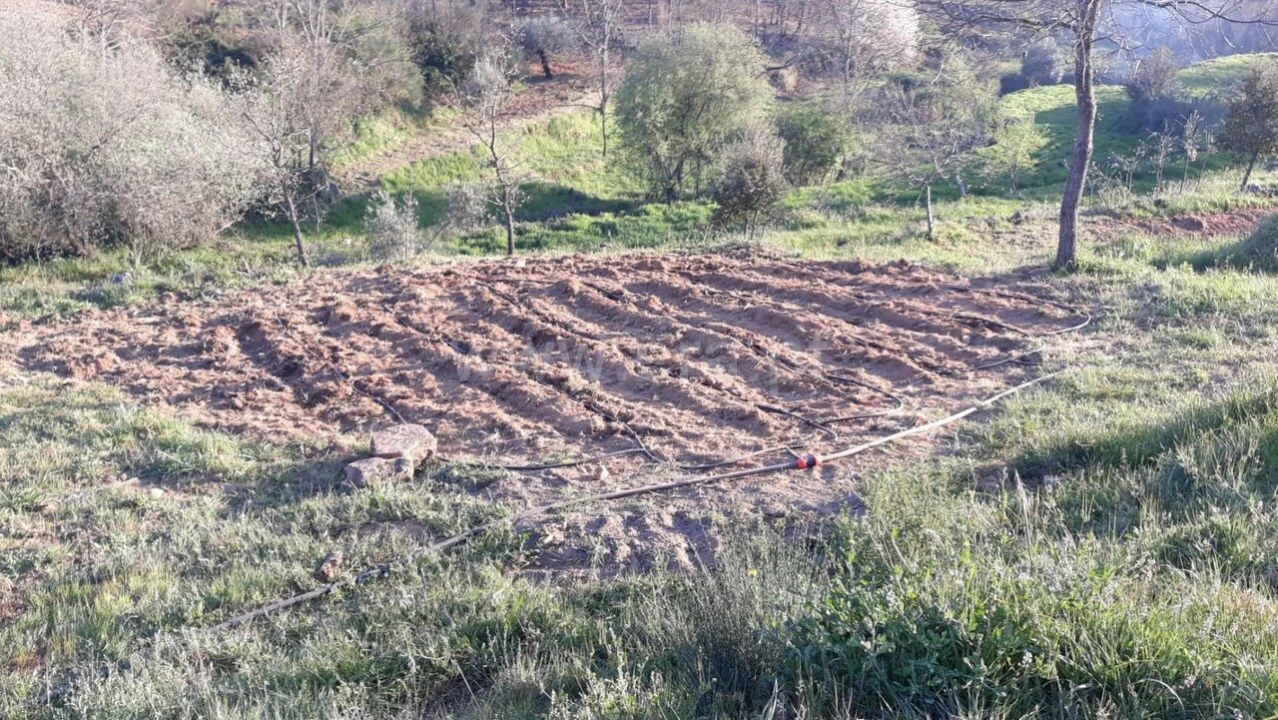 Quinta T0 para Venda em Pero Viseu Foto 3