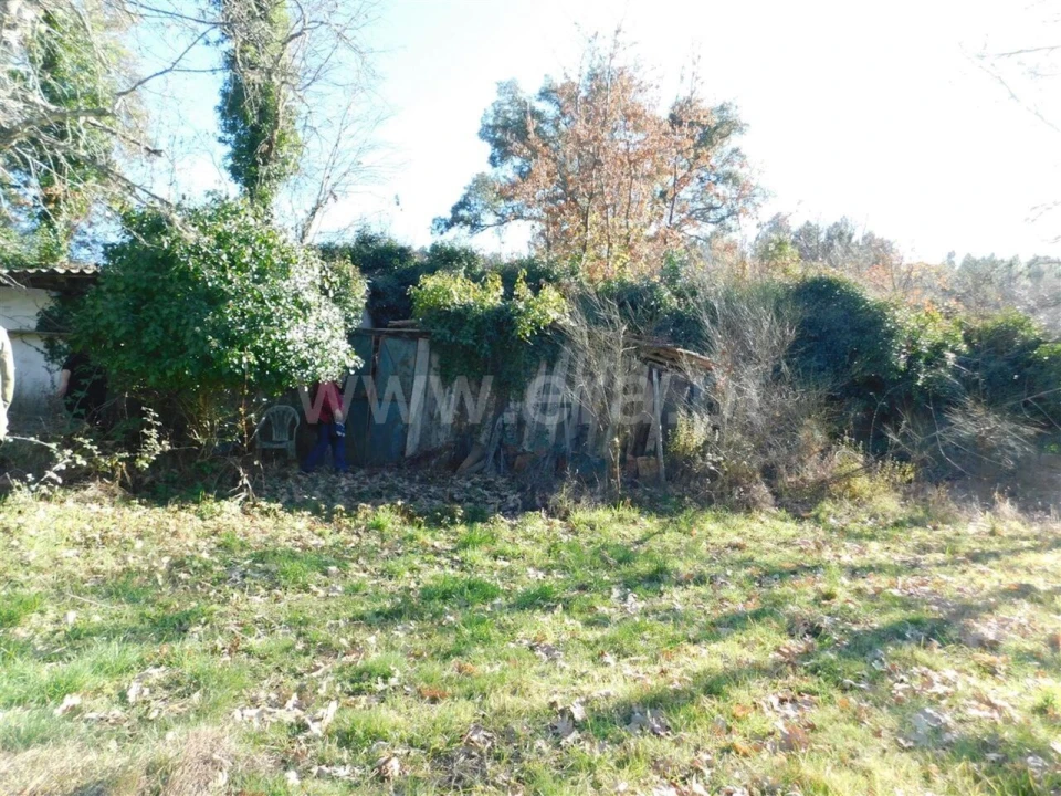 Terreno para Venda em Alcaide Foto 9
