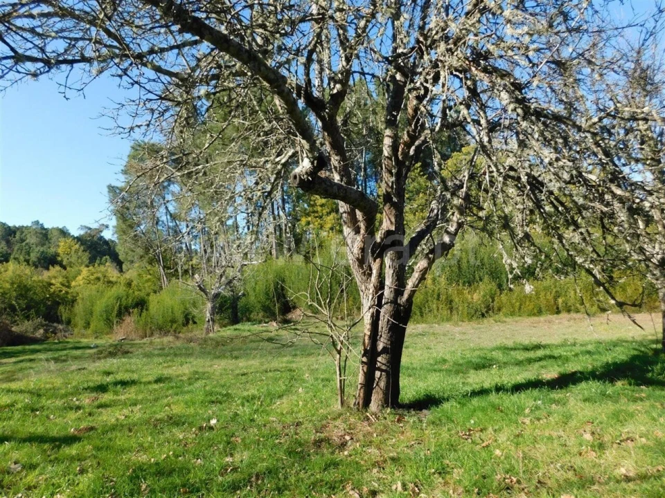 Terreno para Venda em Alcaide Foto 5