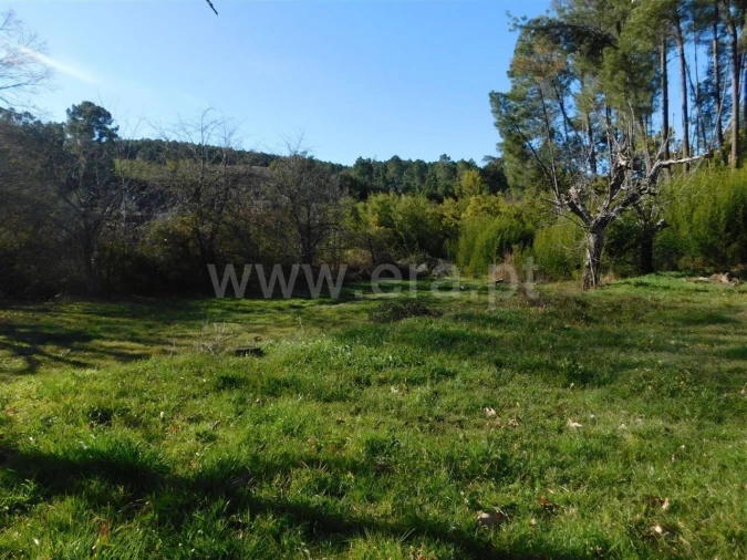 Terreno para Venda em Alcaide Foto 7