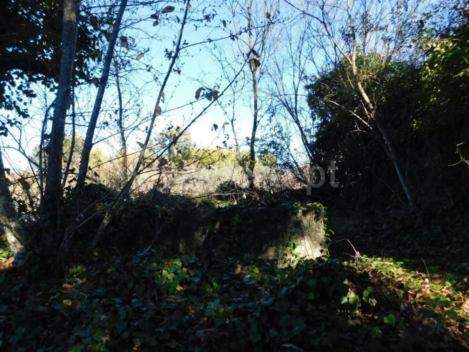 Terreno para Venda em Alcaide Foto 6