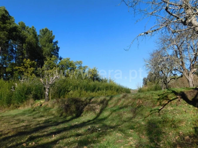 Terreno para Venda em Alcaide Foto 3