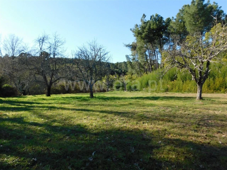 Terreno para Venda em Alcaide Foto 2