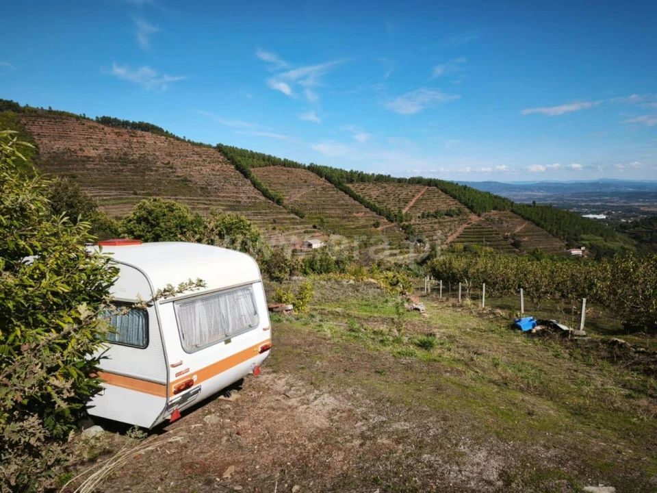 Quinta T0 para Venda em Alcongosta Foto 2