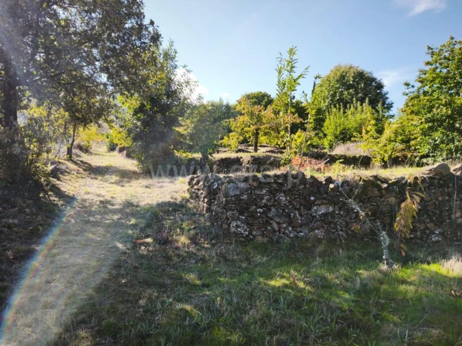 Quinta T0 para Venda em Alcongosta