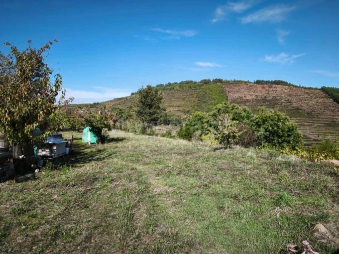 Quinta T0 para Venda em Alcongosta Foto 4
