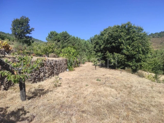 Quinta T0 para Venda em Alcongosta Foto 11