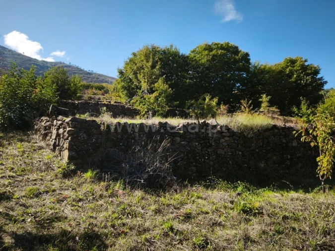 Quinta T0 para Venda em Alcongosta Foto 5