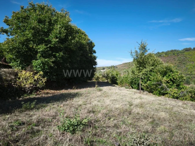 Quinta T0 para Venda em Alcongosta Foto 6