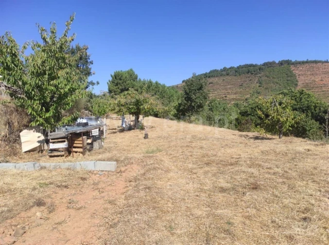 Quinta T0 para Venda em Alcongosta Foto 12