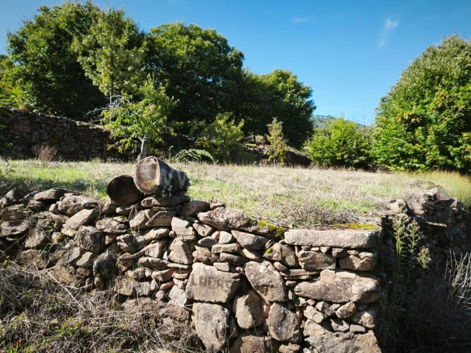 Quinta T0 para Venda em Alcongosta Foto 10