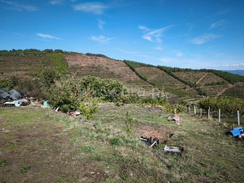 Quinta T0 para Venda em Alcongosta Foto 3