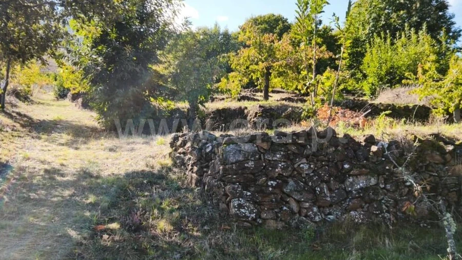 Quinta T0 para Venda em Alcongosta