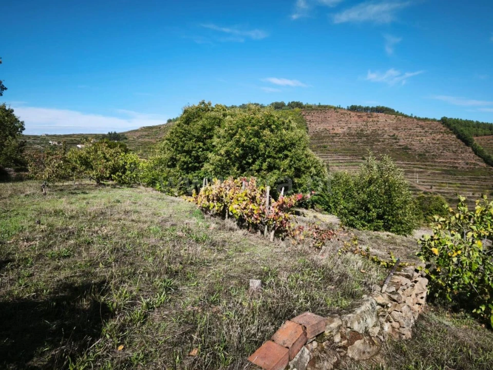 Quinta T0 para Venda em Alcongosta Foto 7