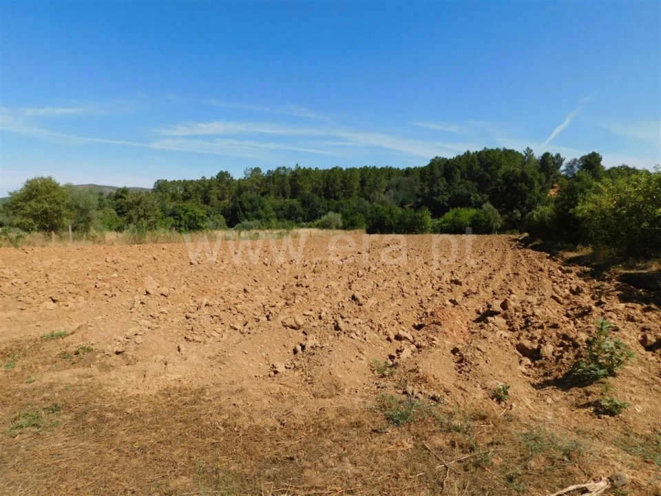 Terreno para Venda em Souto da Casa Foto 16