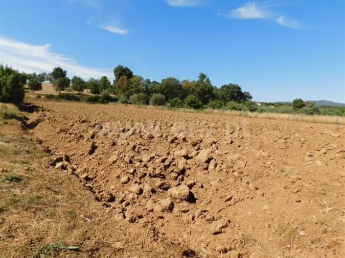 Terreno para Venda em Souto da Casa Foto 2