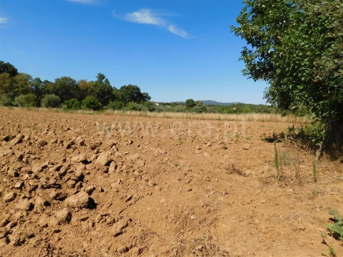 Terreno para Venda em Souto da Casa Foto 3