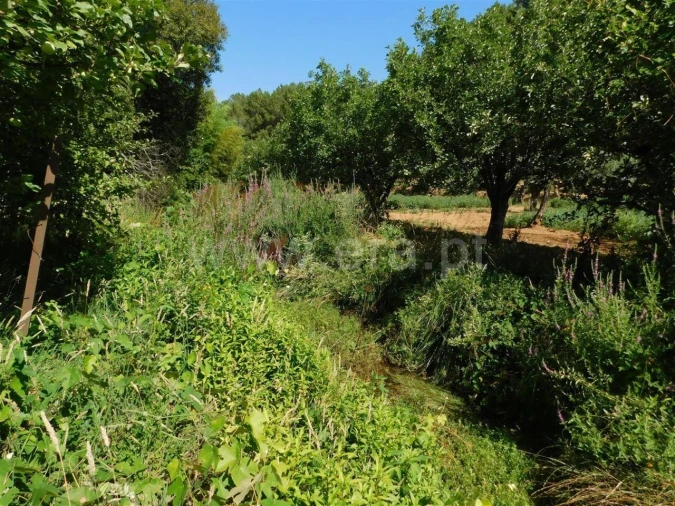 Terreno para Venda em Souto da Casa Foto 7