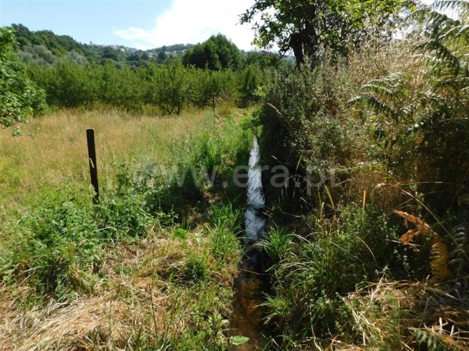 Terreno para Venda em Souto da Casa Foto 5