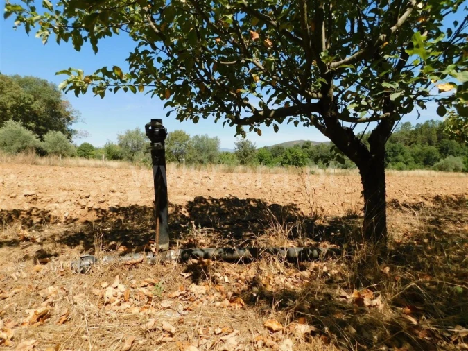 Terreno para Venda em Souto da Casa Foto 12