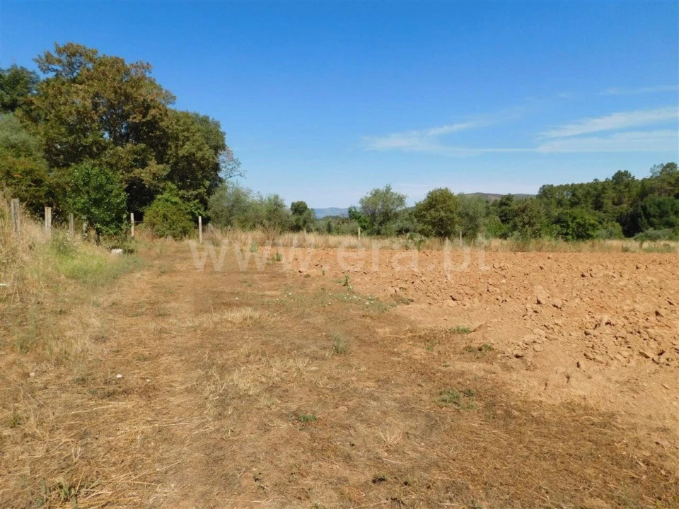 Terreno para Venda em Souto da Casa Foto 15