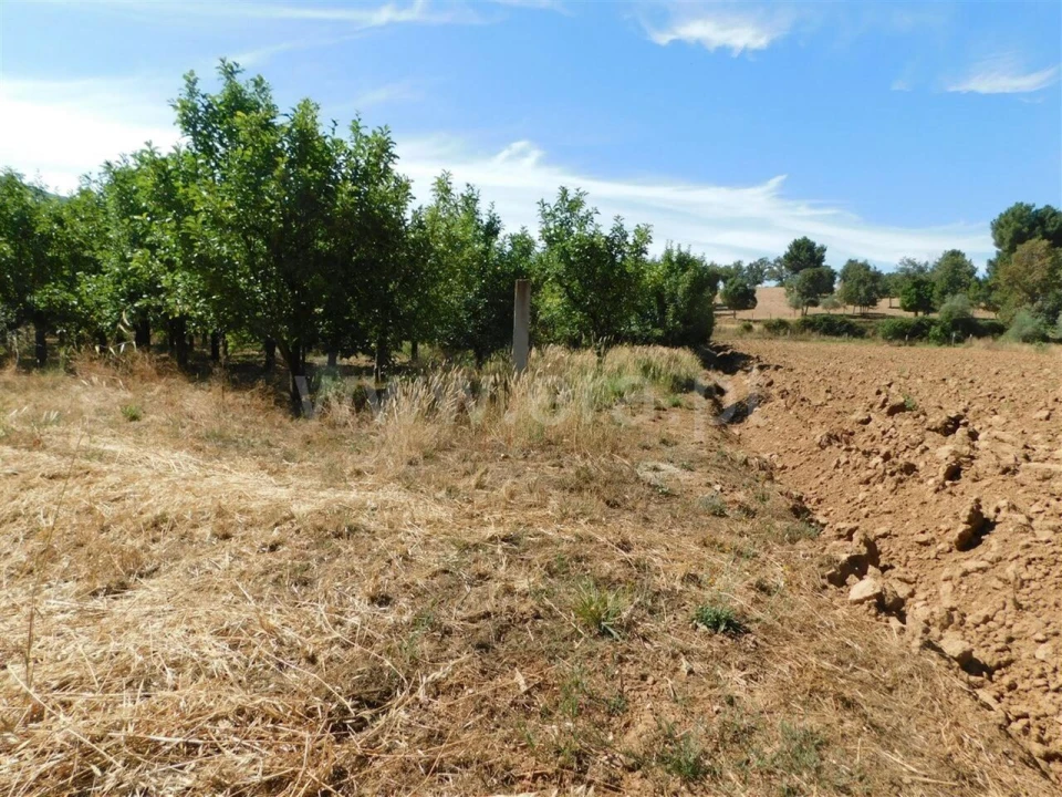 Terreno para Venda em Souto da Casa Foto 4