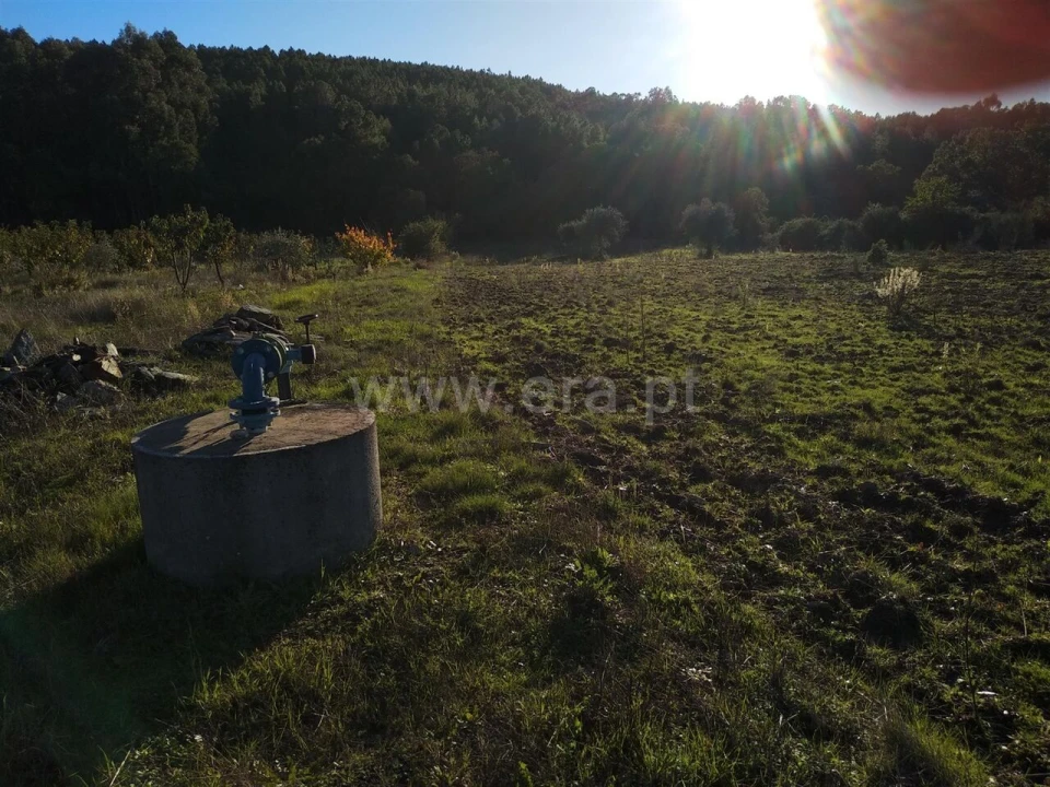 Terreno para Venda em Enxames Foto 3