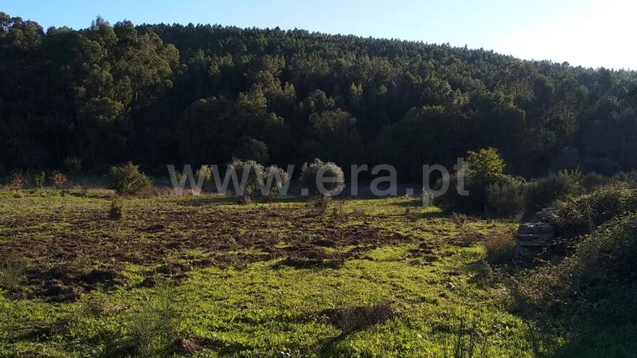 Terreno para Venda em Enxames