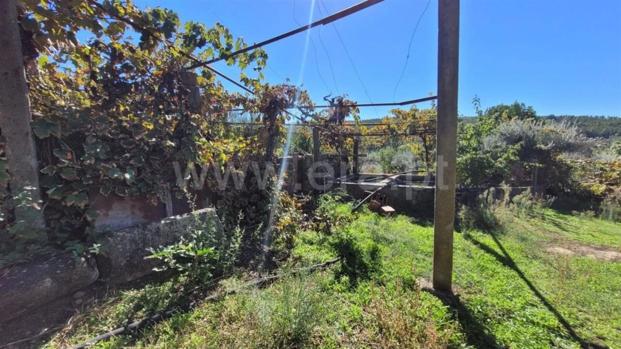 Quinta T0 para Venda em Enxames Foto 6