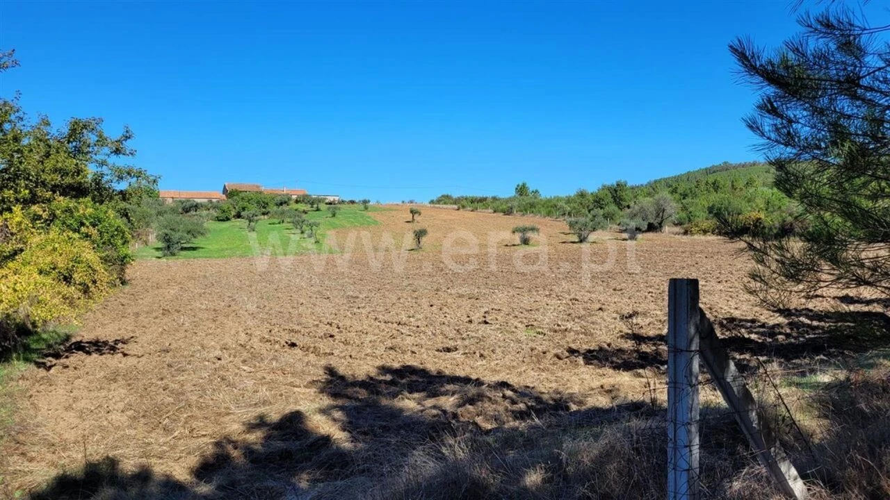 Quinta T0 para Venda em Enxames Foto 9