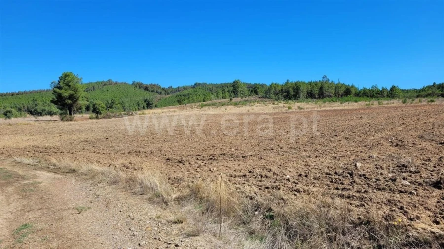 Quinta T0 para Venda em Enxames Foto 15