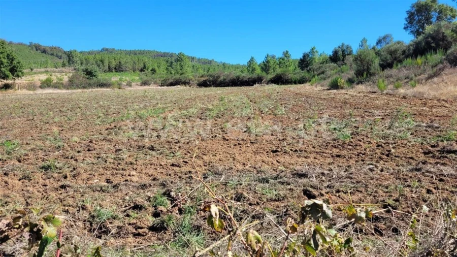 Quinta T0 para Venda em Enxames Foto 17