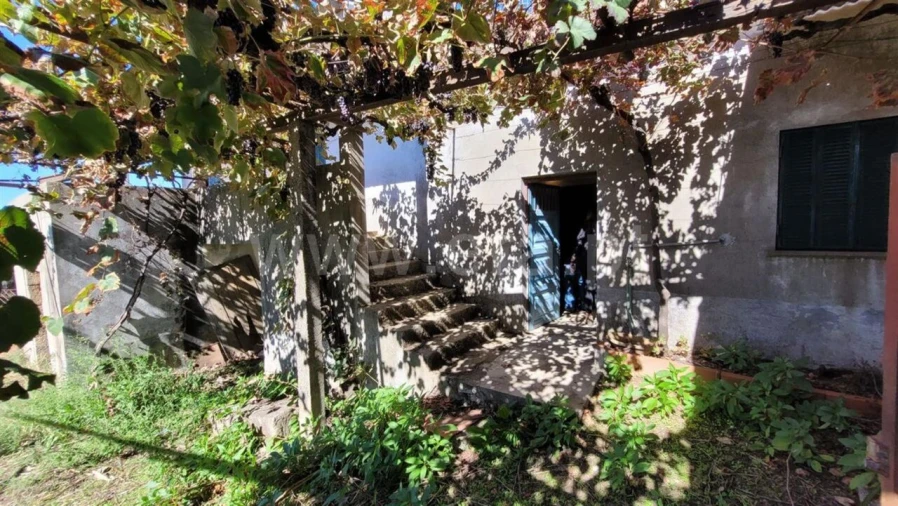 Quinta T0 para Venda em Enxames Foto 4