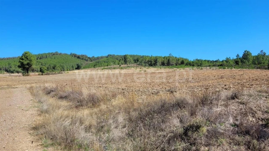 Quinta T0 para Venda em Enxames Foto 16