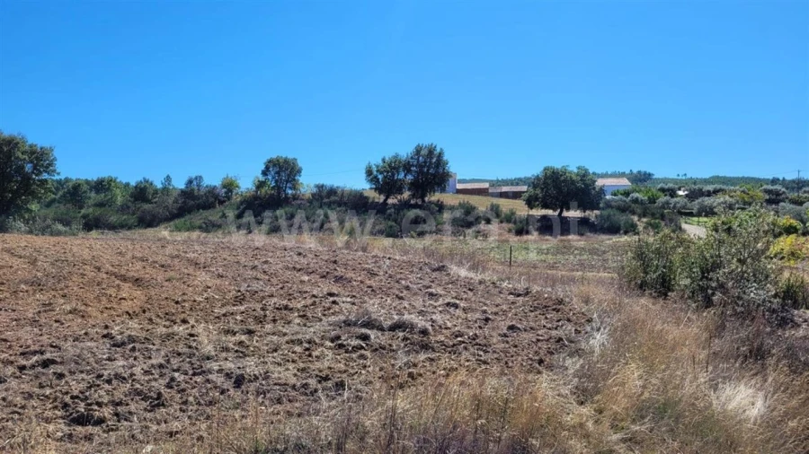 Quinta T0 para Venda em Enxames Foto 14