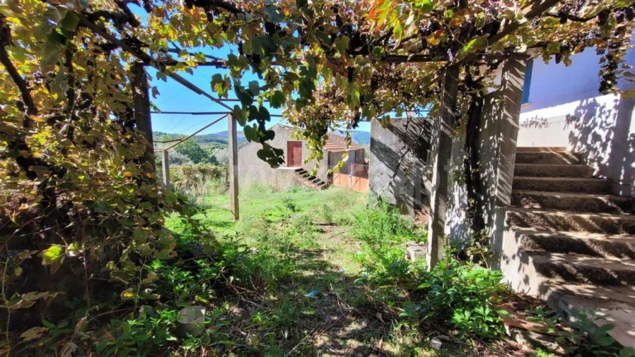 Quinta T0 para Venda em Enxames Foto 3