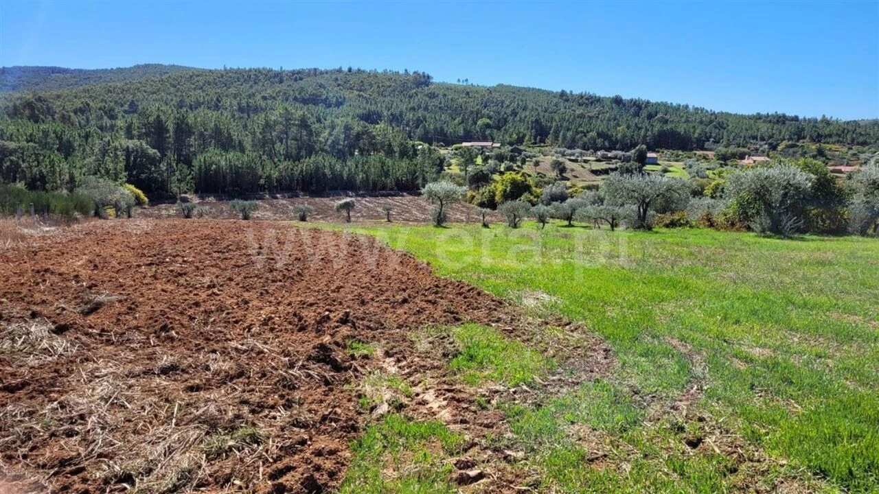 Quinta T0 para Venda em Enxames Foto 19