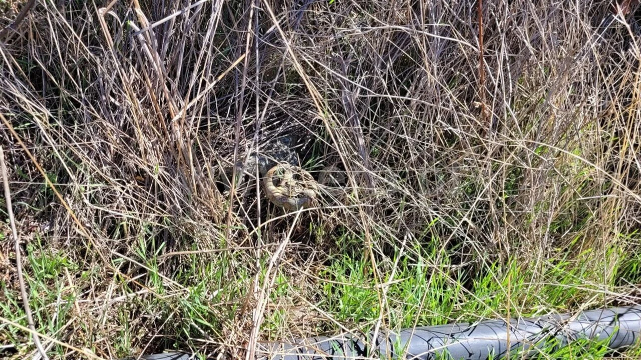 Quinta T0 para Venda em Enxames Foto 20