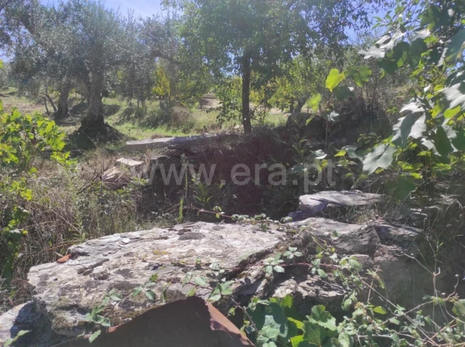 Quinta T0 para Venda em Enxames Foto 10