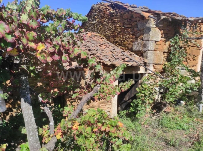 Quinta T0 para Venda em Enxames Foto 11