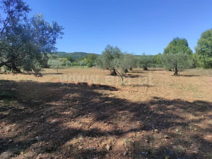 Quinta T0 para Venda em Enxames Foto 6