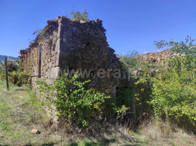 Quinta T0 para Venda em Enxames Foto 14