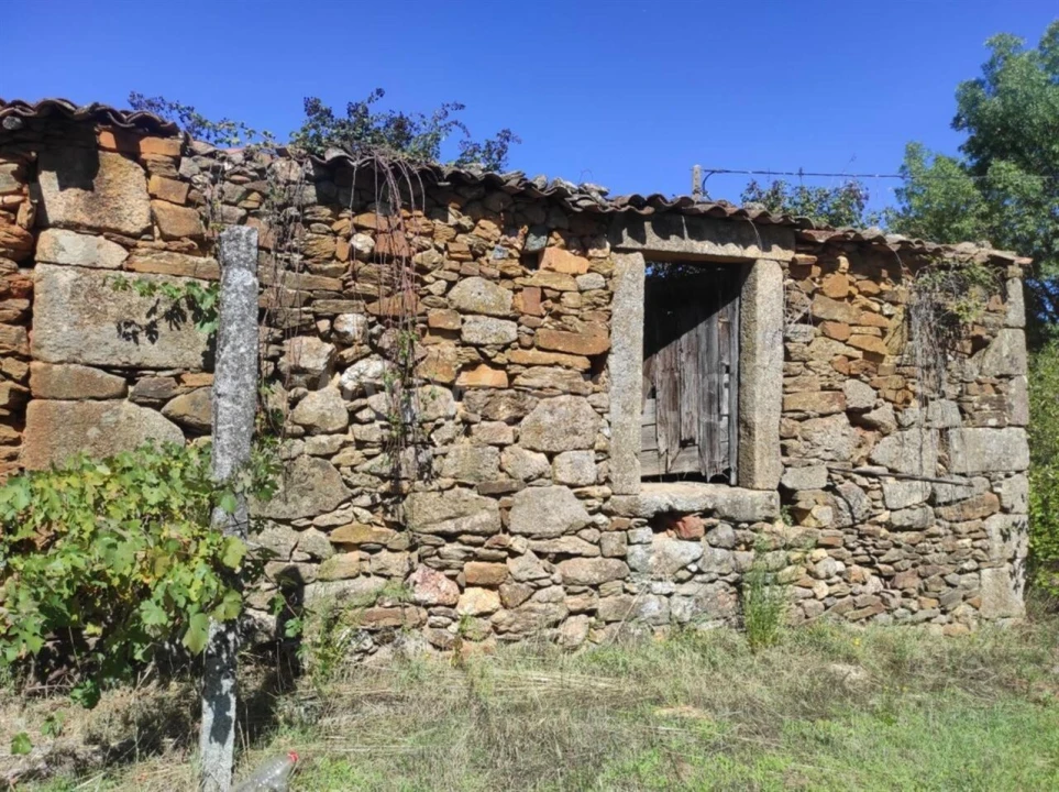 Quinta T0 para Venda em Enxames Foto 12