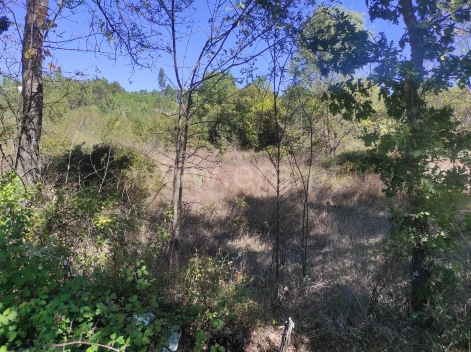 Quinta T0 para Venda em Enxames Foto 9