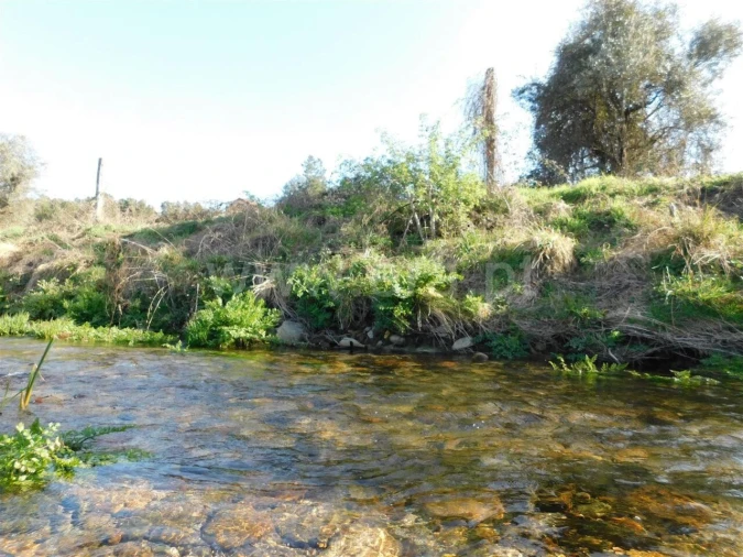 Terreno para Venda em Castelejo Foto 3