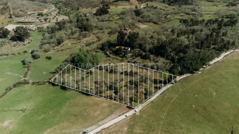 Terreno para Venda em Pero Viseu